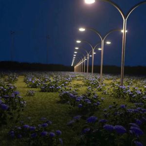 把朱竹清❌❌❌后喷出水
